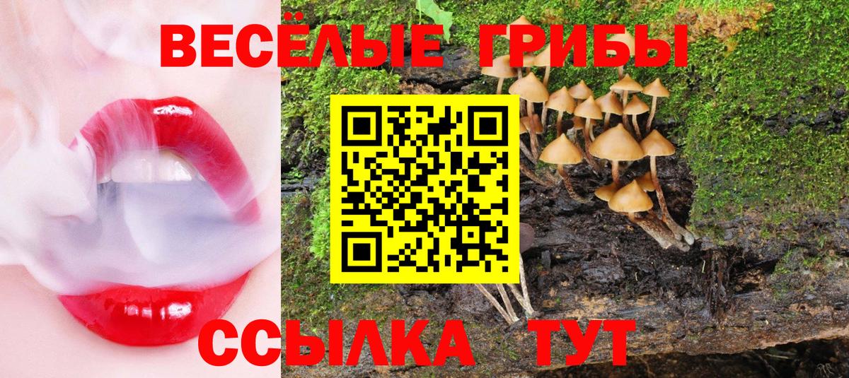 Кашира  Галлюциногенные грибы ЛСД  Вход с VPN 
