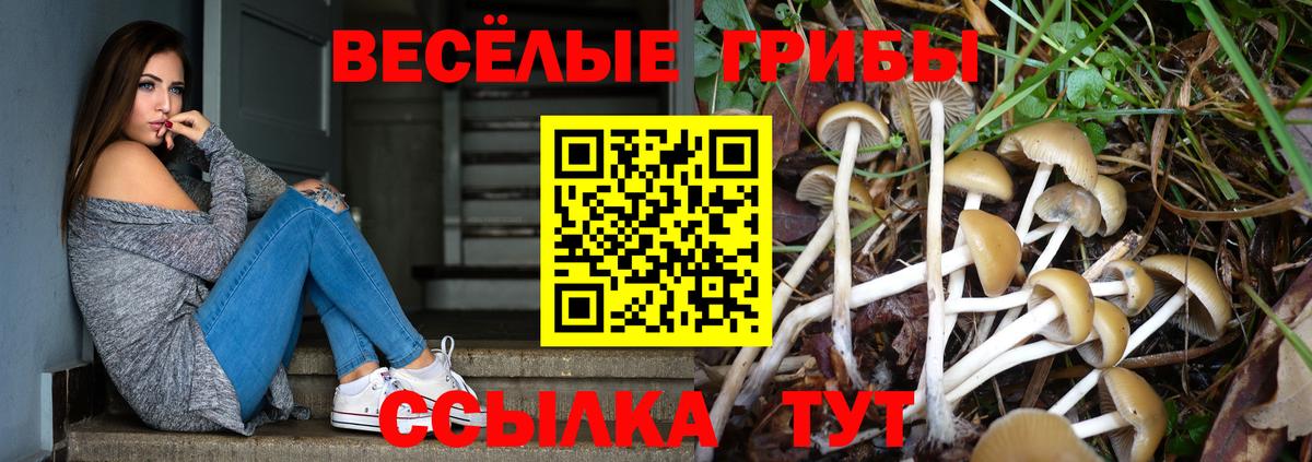 Псилоцибиновые грибы мухоморы Кашира