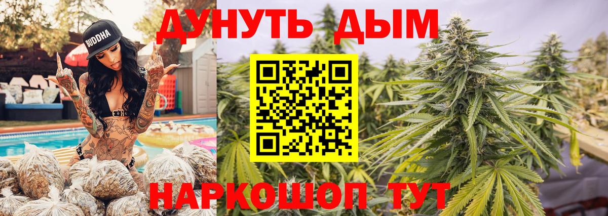 Конопля SATIVA & INDICA  Конопля планчик  Вход с VPN  Марихуана ГИДРОПОН  Кашира 